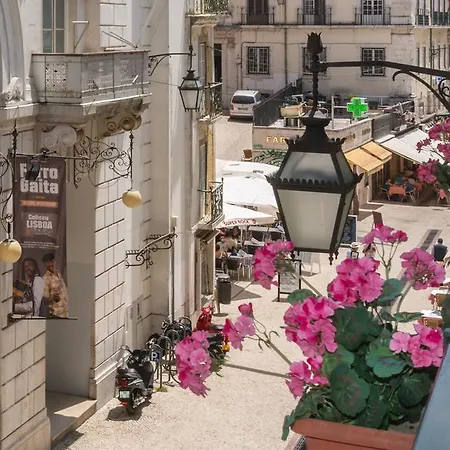 호텔 Florescente 3*